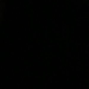 Meet your Posher, Jayshon